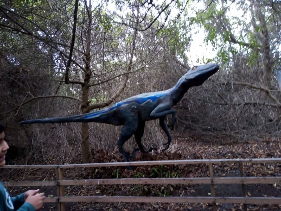 Salida pedagógica al parque